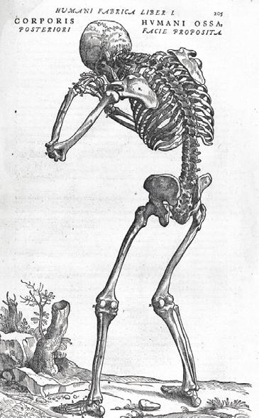 TÖRTÉNET Biomechanica Hungarica IV. évfolyam, 2. szám be, de amikor hírt kapott az általa nagyon tisztelt Galilei inkvizíciójáról, elégette azt. Latin nyelvű kiadása 1662-ben jelent meg.