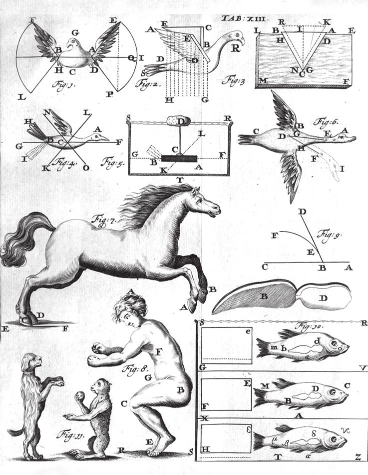 Biomechanica Hungarica IV. évfolyam, 2. szám TÖRTÉNET 3. ábra.