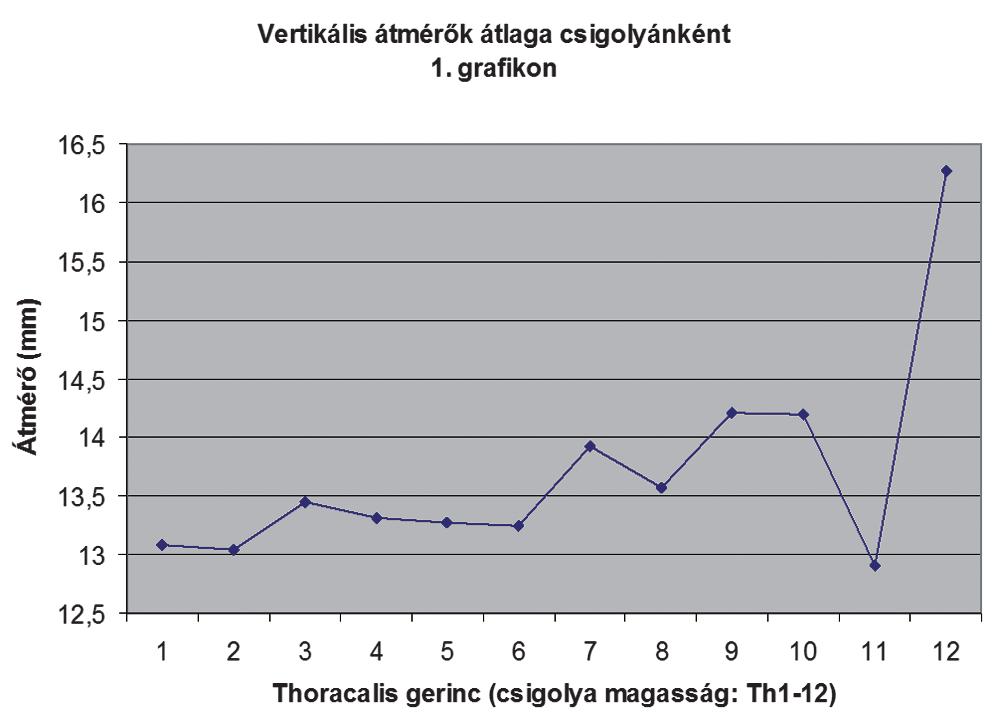 A csigolyák számának eloszlása a horizontális átmérõjük alapján Összefoglalás A thoracalis gerinc biomechanikája rendkívül összetett és nehezen modellezhetõ.