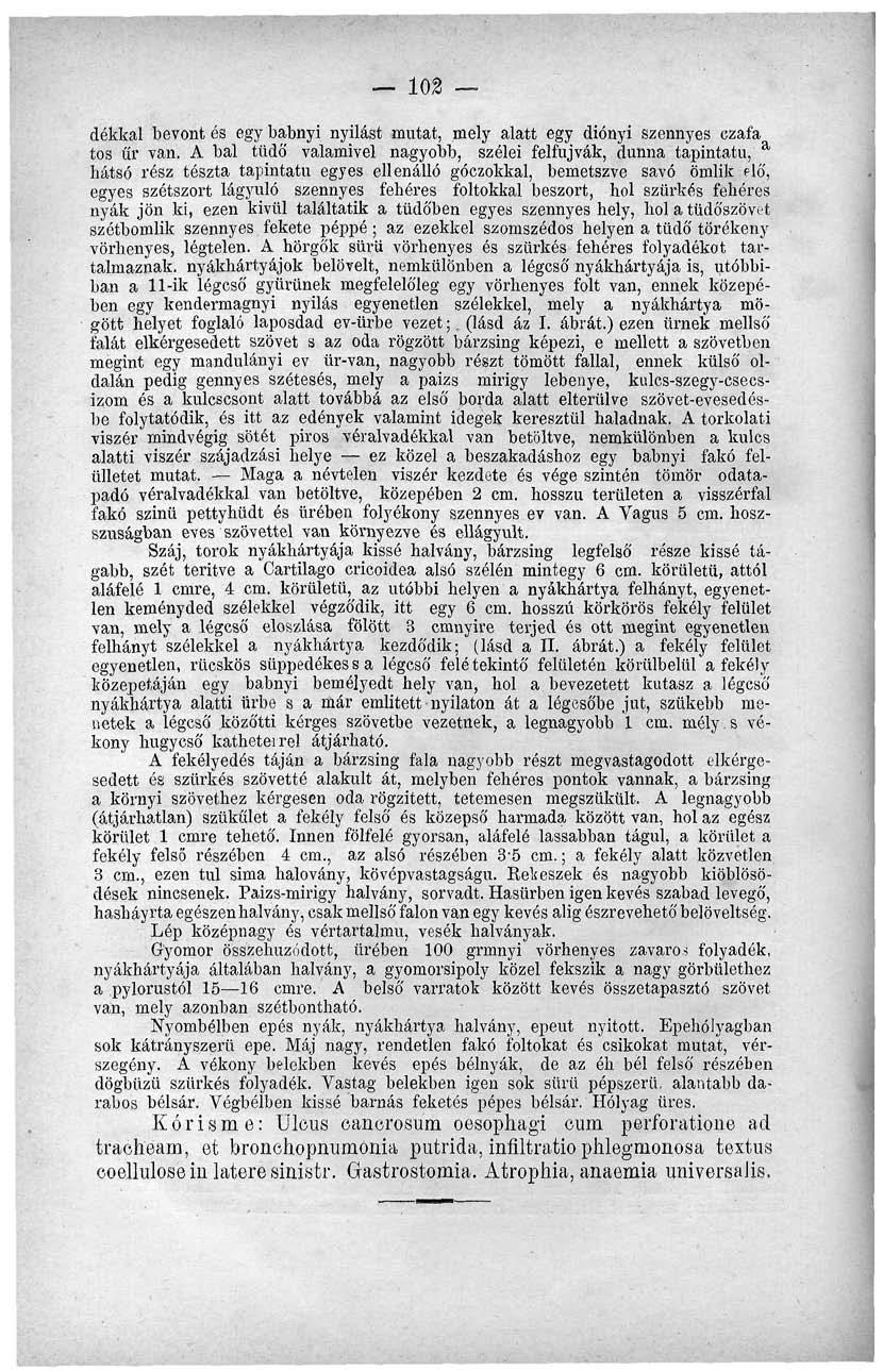 102 dékkal bevont és egy babnyi nyilast mutat, mely alatt egy diónyi szennyes czafa a tos űr van.
