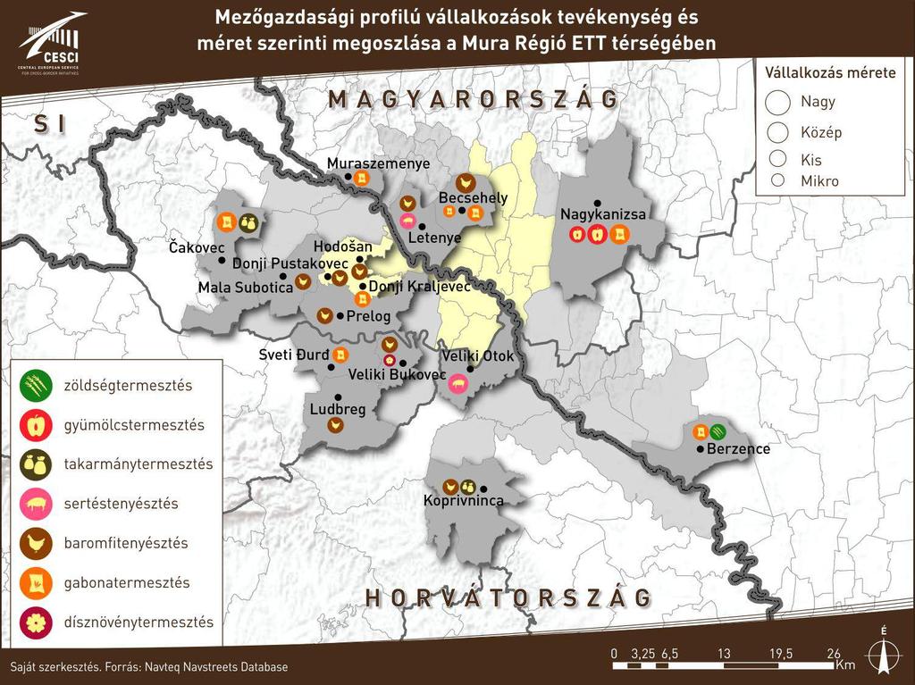 21. ábra: Mezőgazdasági profilú vállalkozások tevékenység és méret szerinti megoszlása a Mura Régió ETT térségében 29 1972-ben önálló fajtaként ismerték el a Muraközi ló típusát.