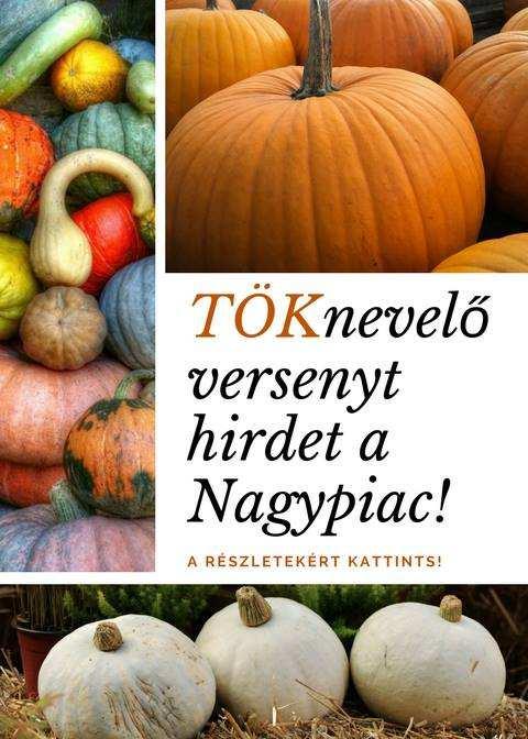 Ajánló: