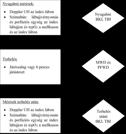 5. ábra. A vizsgálat algoritmusa. 5.1.2.