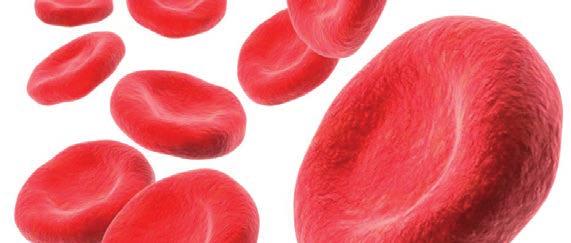 Számos esetben 2 3%-kal magasabb a HbA1c szintje, mint ami a vércukor átlagokból következne, ritkábban ennek az ellenkezője is előfordul, pl.