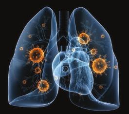 SZTATIN KEZELÉS A FELNŐTTEK SZÍV-ÉRRENDSZERI BETEGSÉGEINEK MEGELŐZÉSÉRE Kutatás Az Egyesült Államok Betegségmegelőző Szolgálata (US Preventive Services Task Force: USPSTF) 2008- ban javaslatot tett