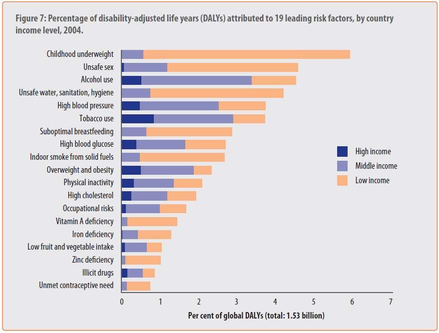 Global health risks: mortality and burden of