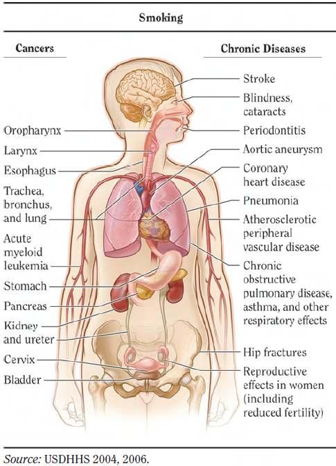 A dohányzással ok-okozati összefüggést mutató egészségi következmények U.S. Department of Health and Human Services.