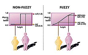 (β1, β2,, βn) : vector of coefficients (shadow