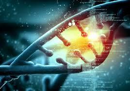 CRISPR - genomszerkesztés Idegen gén beültetése nélküli génsebészet.