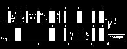 spinrendszerek azonosítása sa 15 N-szerkesztéssel 3D-TOCSY-HSQC 2I z β od cos(ω K t 1 ) 2I z cos(ω I t 1 ) I x β od cos(ω K t 1 )cos( N t 2 ) I x β od sin( I t 3 ) cos( N t 2 )