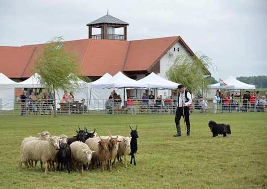 A Duna-Dráva Nemzeti Park Igazgatóság hírlevele 2018.