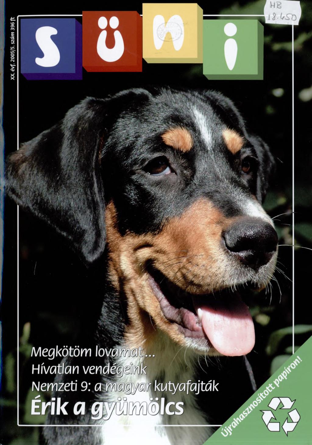 Megkötöm lovamút.