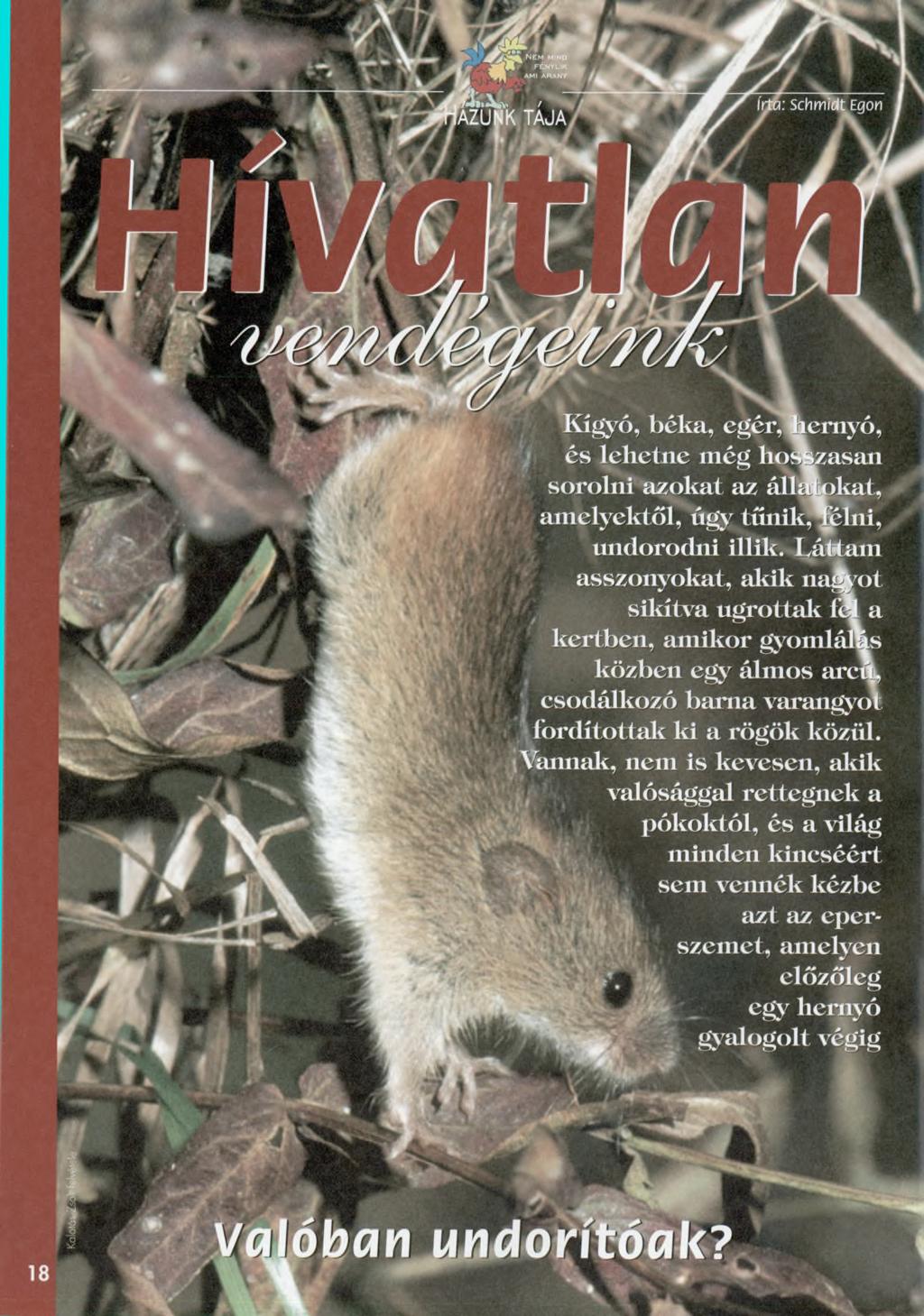 r J J V í utm Kígyó, béka, egérvmemyó, és lehetne még hosszasan sorolni azokat az állatokat, am elyektől, úgy tűnik,^élni, tmdorodni illik.