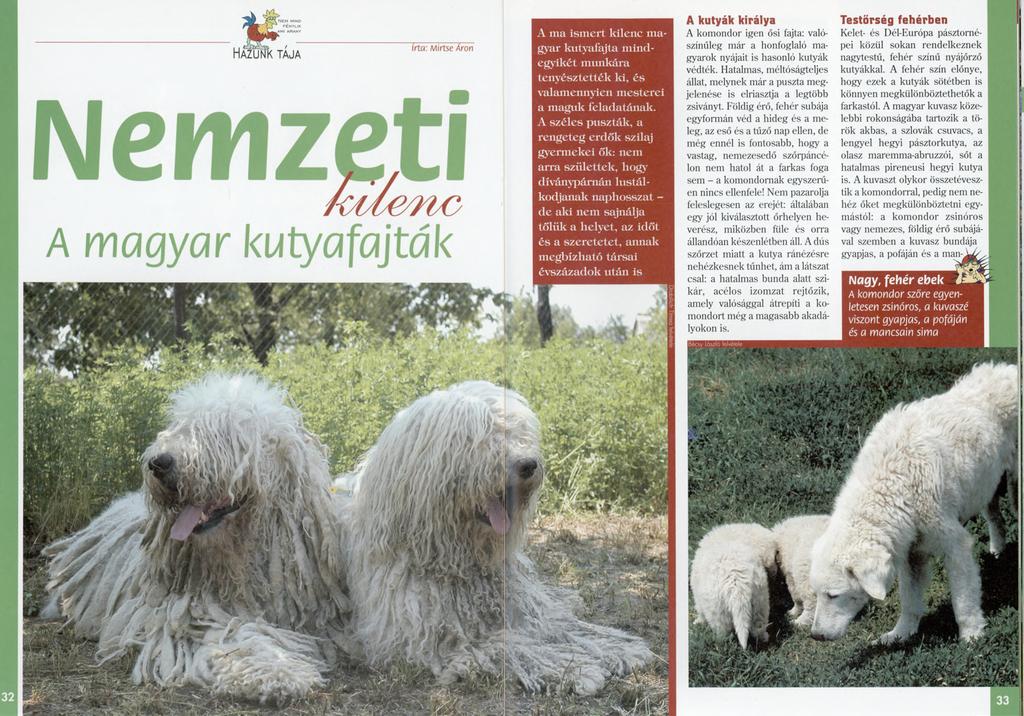 Hazunk taja Irta: A/lirtse Áron Nemzeti /c f/s > n e A magyar kutyafajták A m a ism ert kilenc m a gyar kutyafajta m indegyikét m unkára tenyésztették ki, és valamennyien m esterei a m aguk