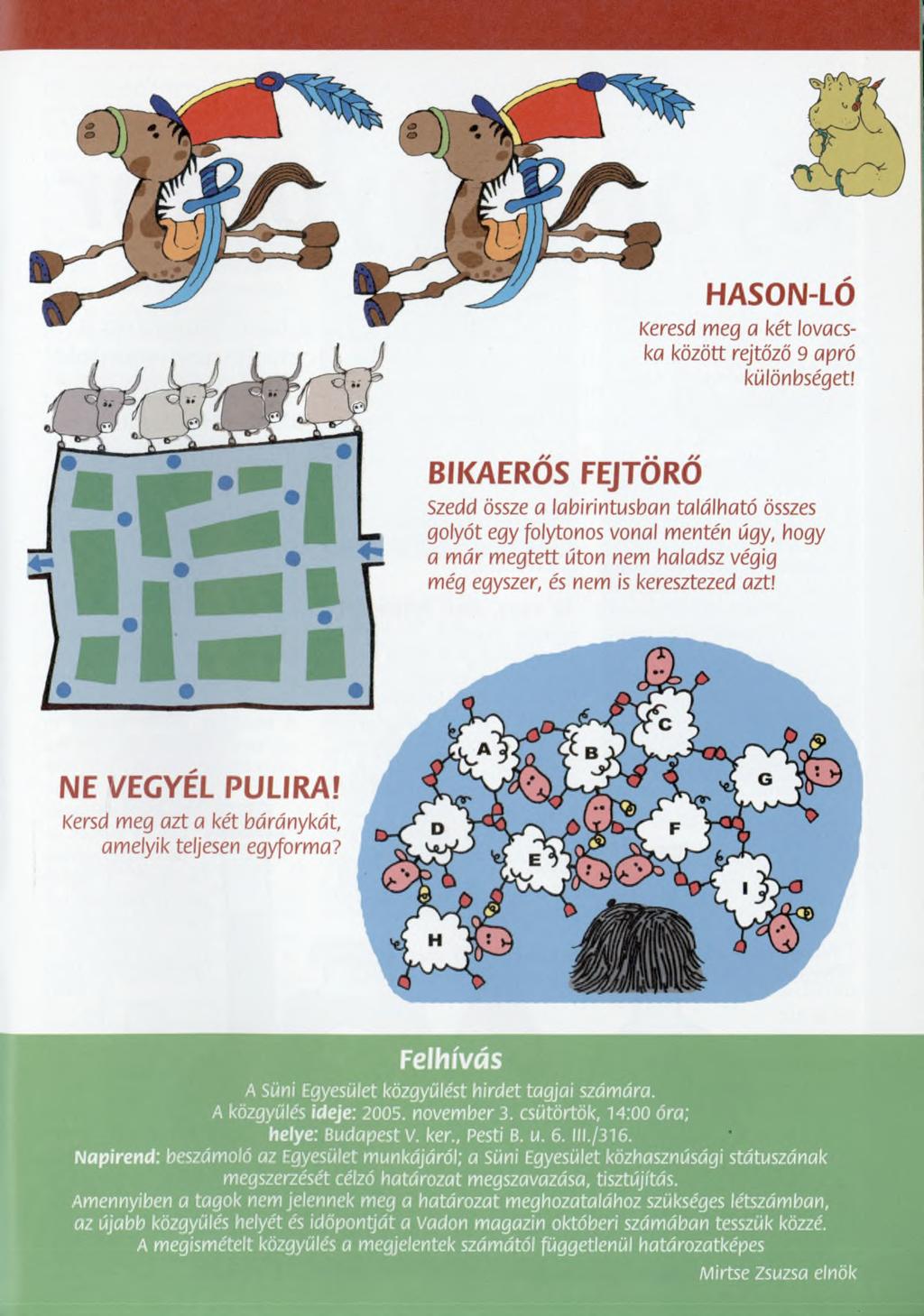 HASON-LO i\crou meg a két lovacska között rejtőző 9 apró különbséget!
