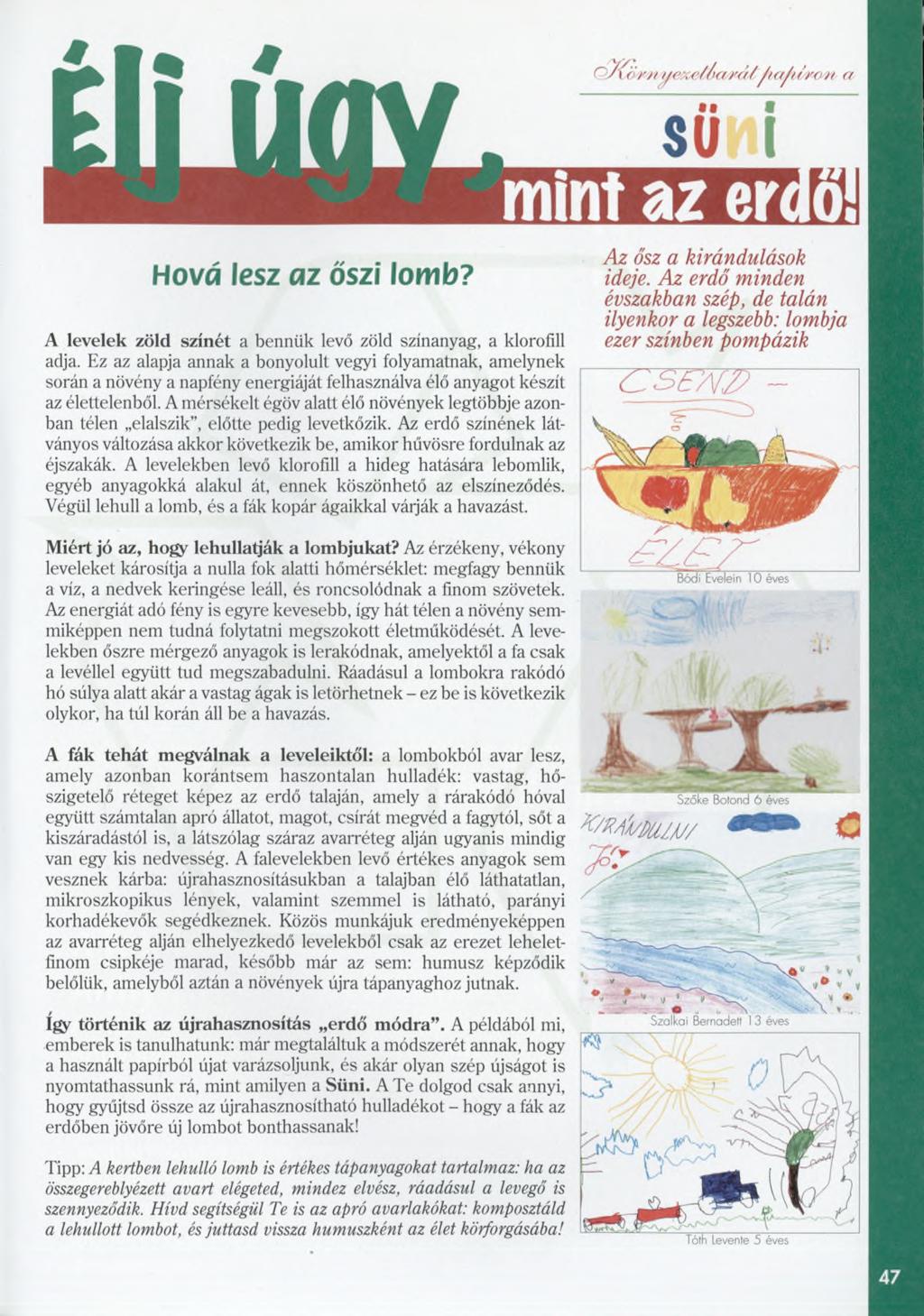 ^..., _ Az ősz a kirándulások Hová lesz C\Z ŐSZI lomb? ideje.