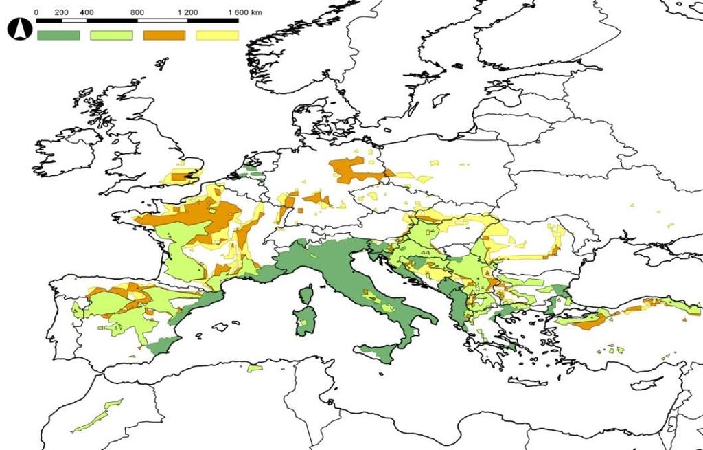 A tigrisszúnyog (Ae. Albopictus) várható elterjedése Európában Az Ae. albopictus terjeszti a Chikungunya lázat és a Dengue kórt.