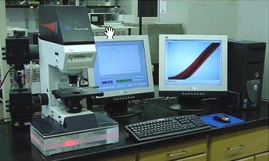 Mikrospektrofotometria Fizikai kölcsönhatás Mérhető