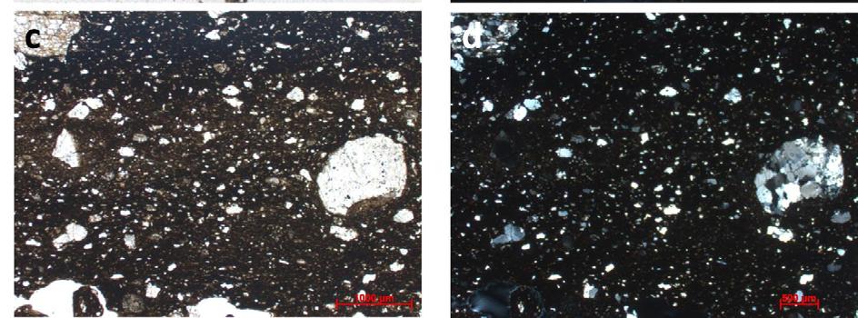 site (15th 18th century). The 4. petrographic group and the 5. petrographic group which is not white pottery. (a-b) Microphotograph of the ceramic from the 4. petrographic group (2015.28.203.