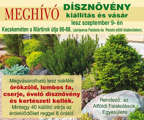 nyárias idő miatt főleg edényekbe (konténerbe, cserépbe) ültetve kínálnak.