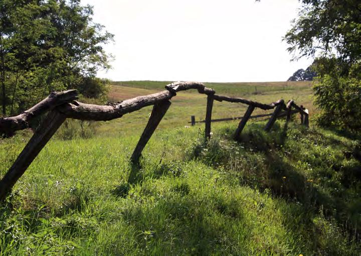 terület, mely az ún. természeti területként és/vagy NATURA 2000 területként szerepel. A táji, természeti értékek gazdag tárháza a település távlati területfelhasználását alapvetően meghatározza.