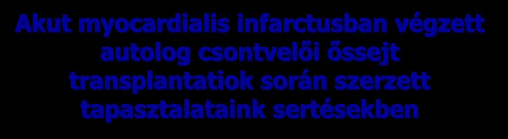 során szerzett tapasztalataink