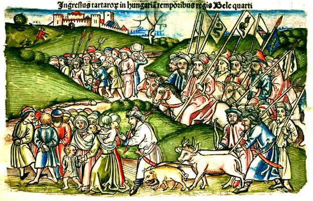 Vannak azonban rigó és pirók színűek, sőt, olykor olykor tarkák is, a Bukovinából származó tarka bikák után. A szarv, szutyak, farkbojt és mancsok feketék.