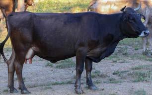 69. kép.