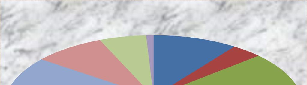 Elsődleges problématípus szerinti megoszlás Életviteli 9% 6% 1% 10% 4% Szenvedélybetegség Családi kapcsolati konfliktus Tankötelezettség nem teljesítése 19% 20% Családon belüli bántalmazás