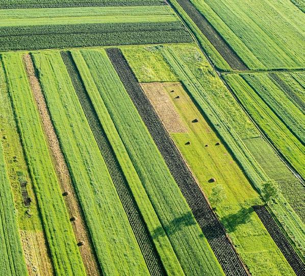 162 A jövedelmezőség minden gazdaság esetében elengedhetetlen kritérium.