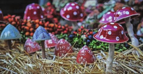 SZEPTEMBER 16. (VASÁRNAP) 16:00 CINEGEMADÁR TOLNA MEGYEI NÉPZENEI VERSENY GÁLAMŰSOR VÁRMEGYEHÁZA UDVARA A 2018.
