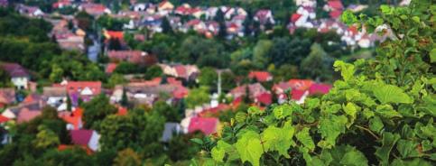 TÁRSRENDEZVÉNYEK SZEKSZÁRD-ÚJVÁROSI RÓMAI KATOLIKUS TÁRSASKÖR XXIII. SZÜRETI RENDEZVÉNYE 2018. SZEPTEMBER 14 