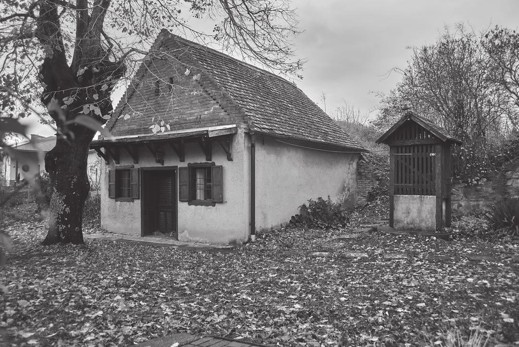 képmelléklet
