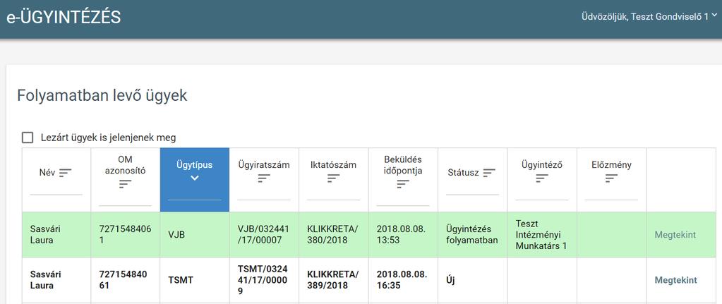 7. A beküldött és iktatott kérelem megjelenik a felhasználó