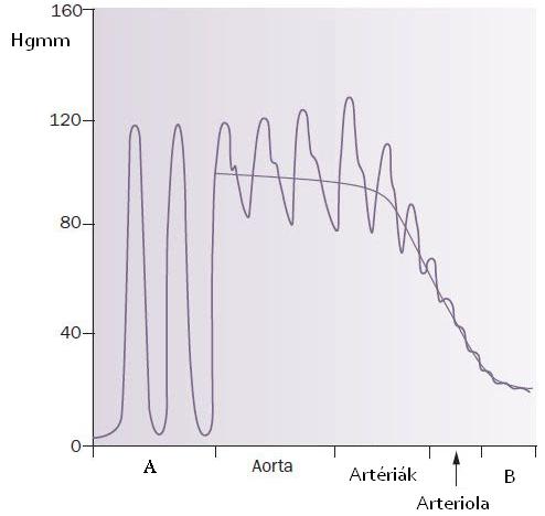 Szövegkiegészítés A 6 vérkörben a vérnyomás fiziológiás nyugalmi értéke közelít leg p 1 = 7 Hgmm, ez a különbség az aorta középnyomása és a 8 pitvar középnyomása (p 2 ~0 Hgmm) között.