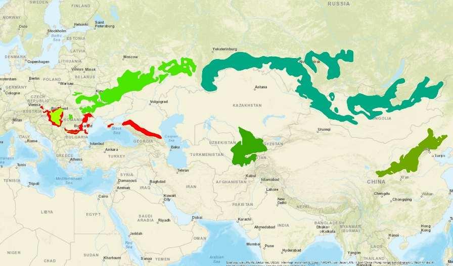 Hol található erdőssztyepp Európában? Az erdőssztyepp öv és típusai: Kontinentális, szubmediterrán, (szubkontinentális) Forrás: Varga Z., BorhidiA., Fekete G., Debreczy Zs., Bartha D., Bölöni J.