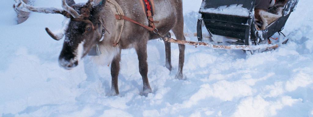 A piros köpenyes, hófehér szakállú öregúr régóta hordja az ajándékot a gyerekeknek - egyes országokban névnapján, december 6-án, másutt pedig karácsony este.