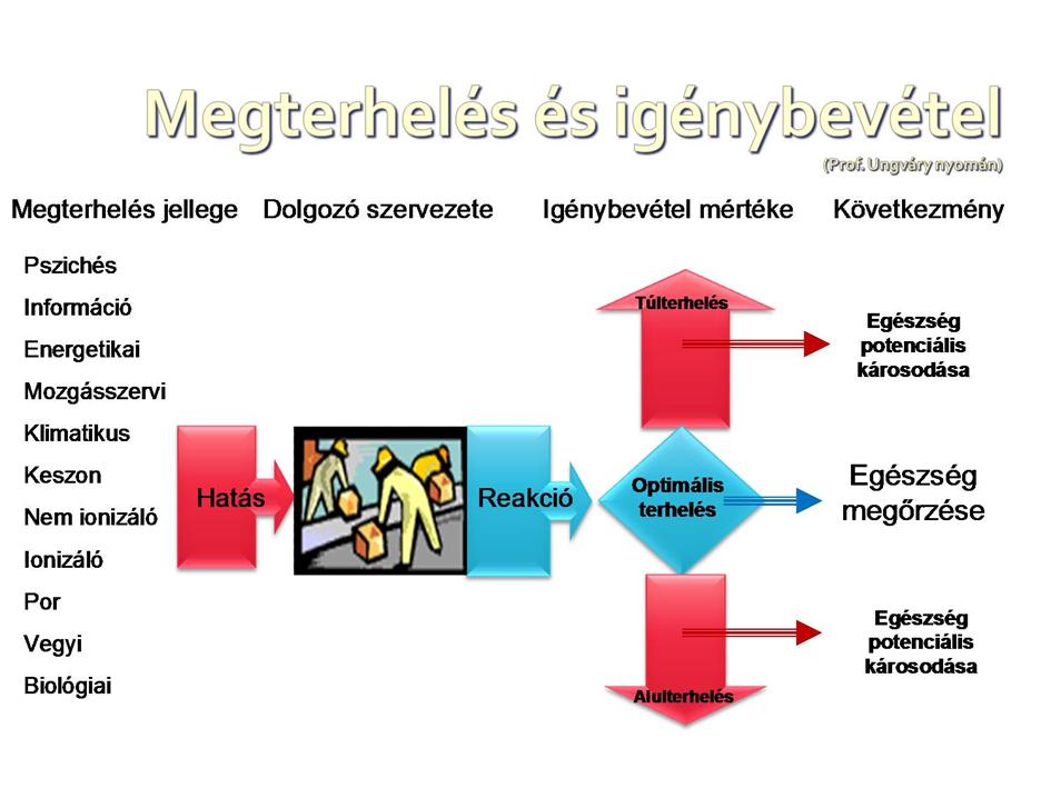 Megterhelés: A munkakörnyezet különböző, általában jól definiálható és objektíven mérhető, a dolgozó szervezetével kapcsolatba kerülő expozíciós hatásainak komplexitása.