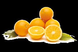 LIMONÁDÉ, SMOOTHIE, KÁSA - MINDEGY,