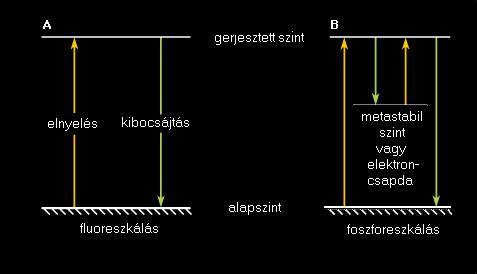 A magfizika rövid története