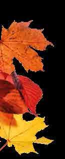 NOVEMBER Érvényes:
