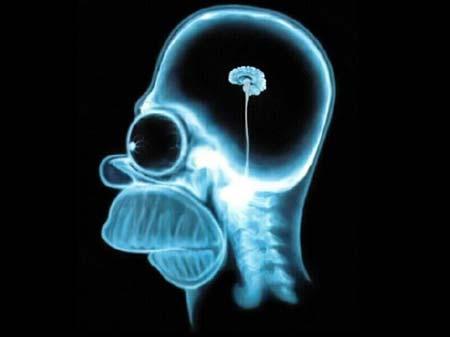 INTELLIGENCIA Az intelligencia az a képességünk, hogy nem teljesen meghatározott célok elérése érdekében is tudunk döntéseket hozni.