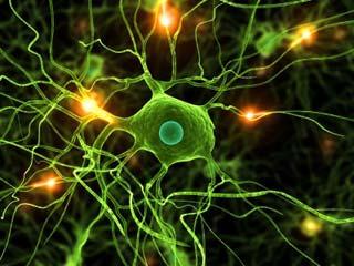 MESTERSÉGES NEURÁLIS HÁLÓZAT Inspiráció: biológiai neurális hálózatok szerkezete és működése Cél: hagyományos