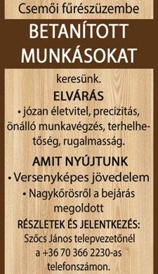 KARRIER 6 2018. augusztus 21. Á L L Á S T K Í N Á L AZ albertirsai Katolikus Iskola határozott idejű iskolatitkári állást hirdet szeptemberi kezdéssel.