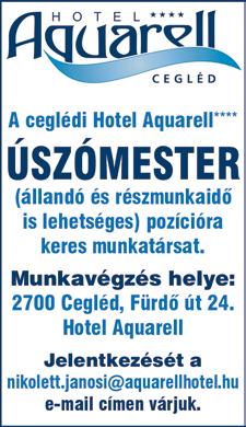 com FUVARSZERVEZÉSI feladatok ellátására H-P-ig kollégát keresek, kiemelt bérezéssel! Jelentkezés fényképes önéletrajzzal: fuvarszervezo2018@gmail.com FESTŐT keresünk felvételre, esetleg brigádot.