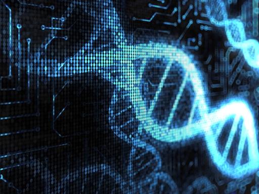 biostatisztika Rendszerbiológia hálózati medicina Hullám Gábor