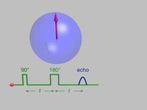 A T 2 relaxáció mérése, a spin visszhang (echo) szekvencia T 2 * = T 2 x T inhom. Az ún.