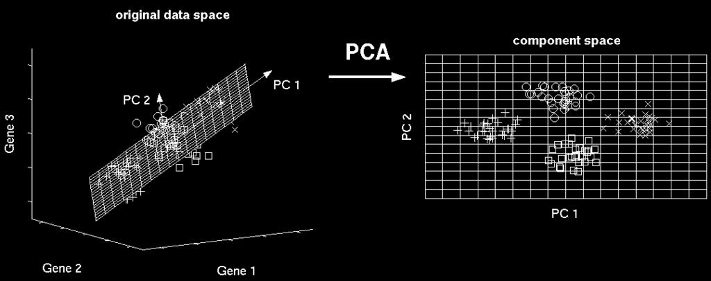 PCA MA lev - 2.