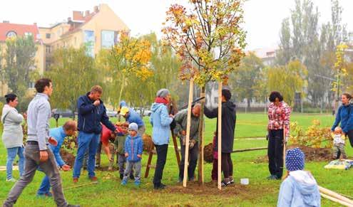 2 Város A mozi előtt park születik - Ön is ajándékozhat fát Az első tíz fát aktivisták az önkormányzattal közösen ültették ki. Az ültetéskor egy történelmi, kockakővel borított utat találtak.