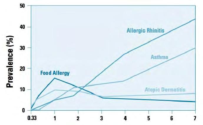 Birth cohorts Allergiás betegségek